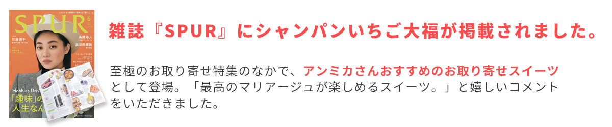 雑誌『SPUR(シュプール)』至極のお取り寄せ特集のなかで、アンミカさんおすすめのお取り寄せスイーツとして登場。